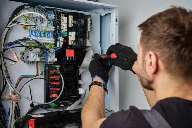 Licensed Electrical Panel Upgrade service in Lake Odessa, MI - No Joke electrician